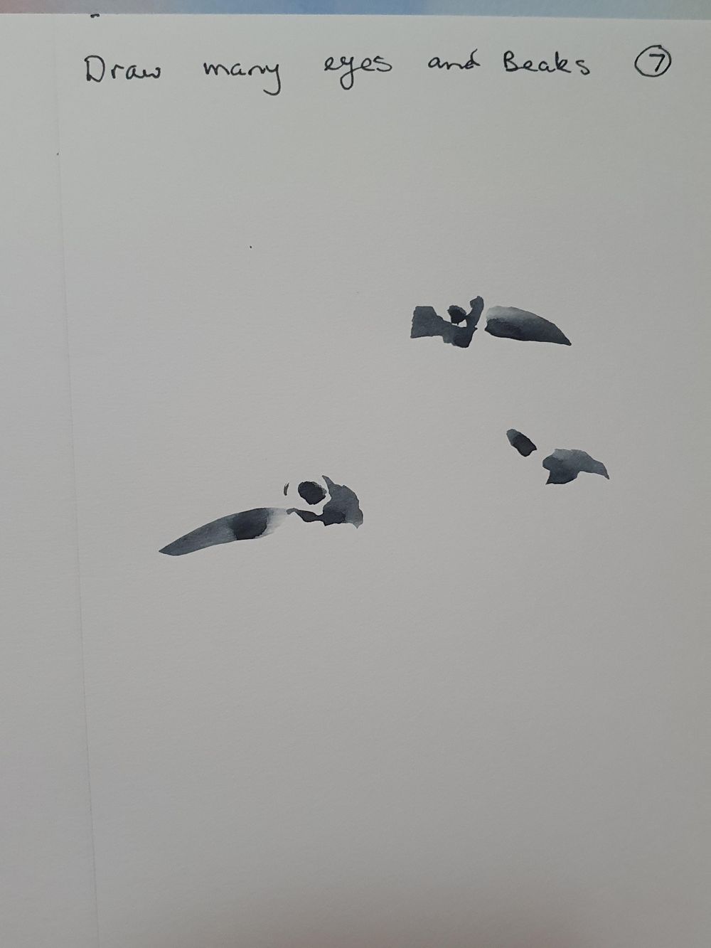 Kay Kookaburra - image 7 - student project
