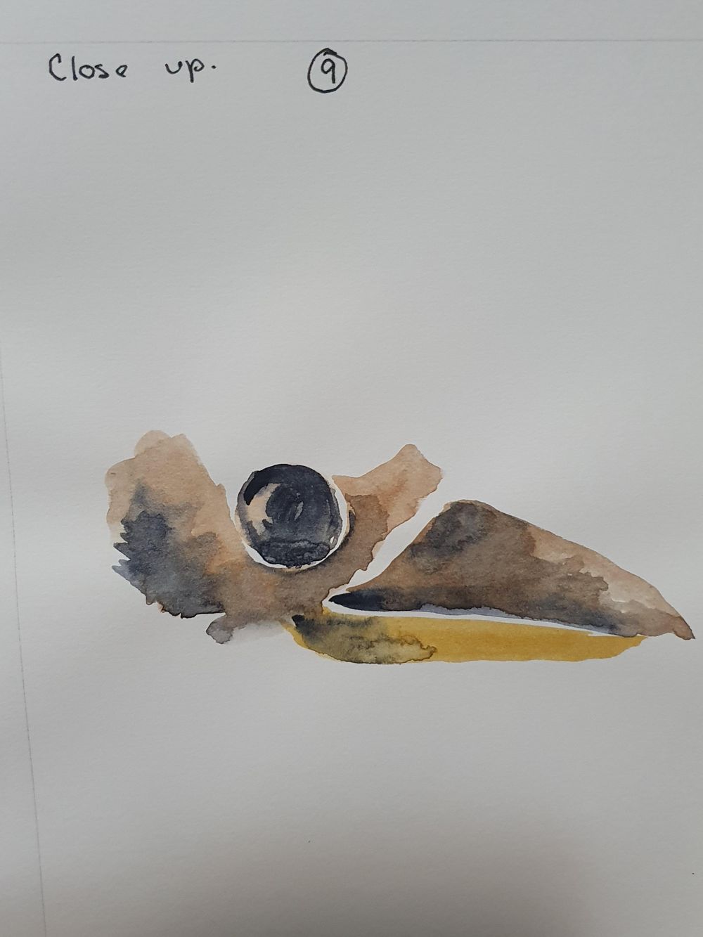Kay Kookaburra - image 9 - student project