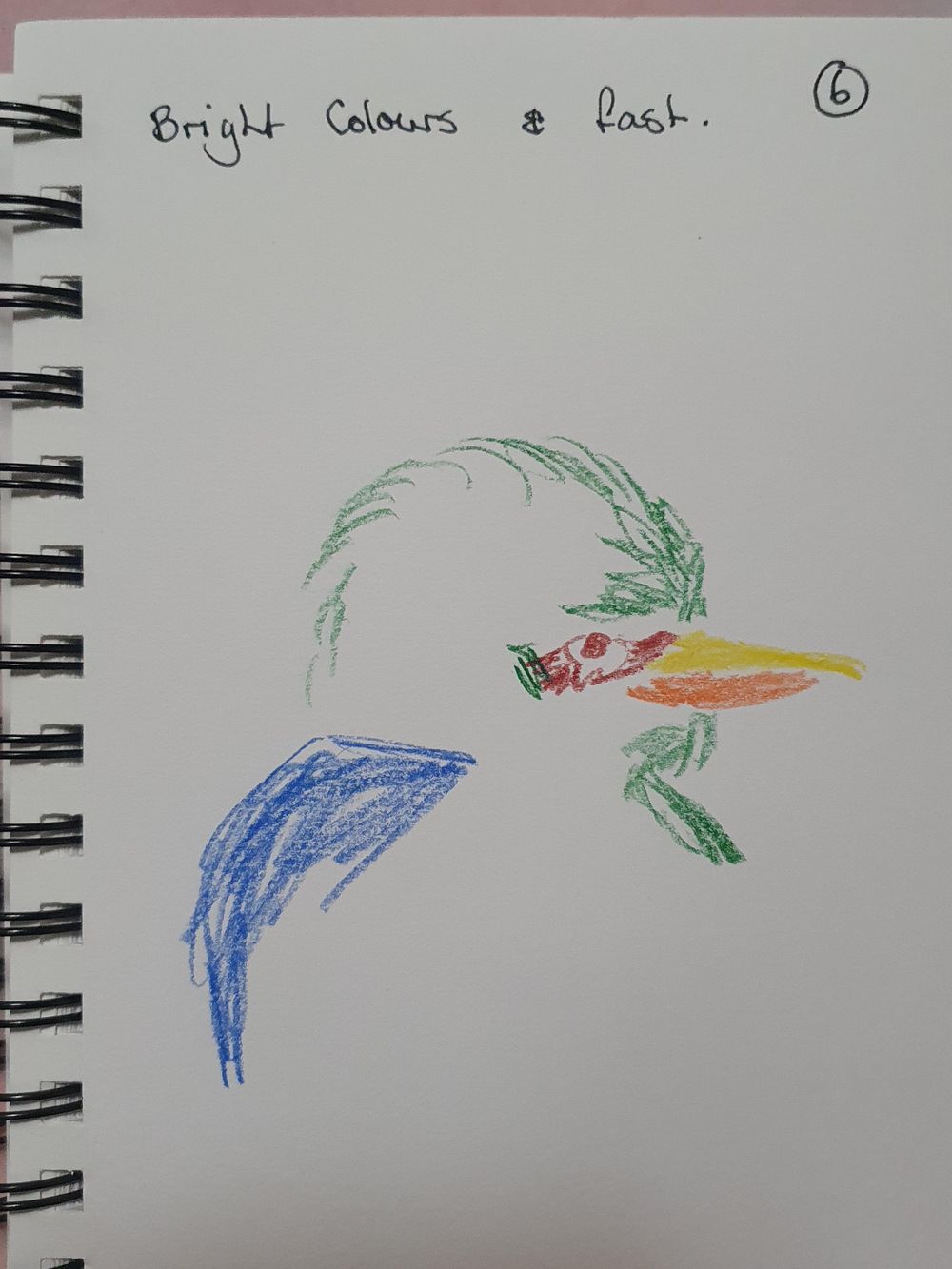 Kay Kookaburra - image 6 - student project