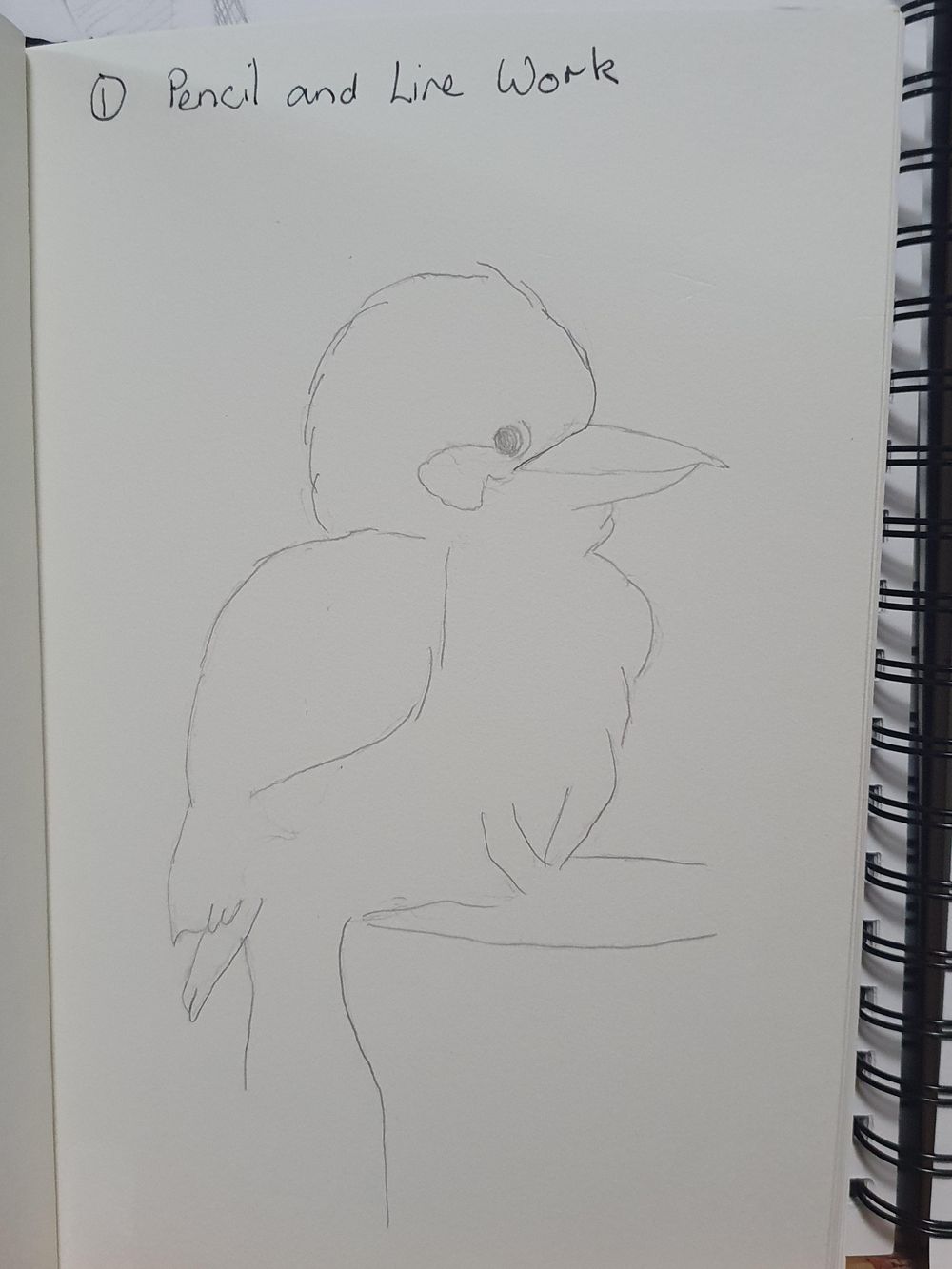 Kay Kookaburra - image 1 - student project