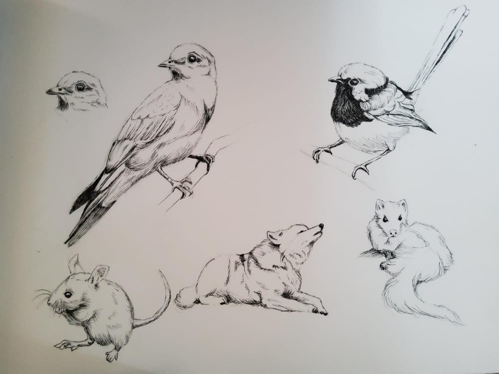 Animal illustration - image 2 - student project