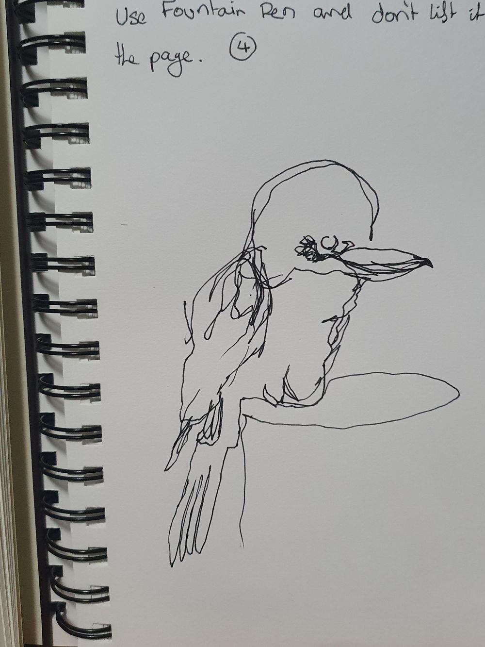 Kay Kookaburra - image 4 - student project