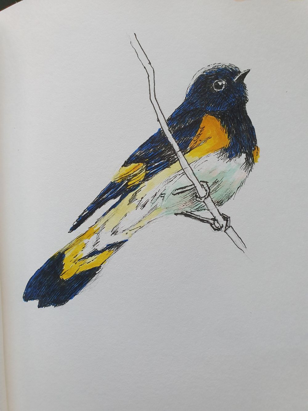 Animal illustration - image 3 - student project