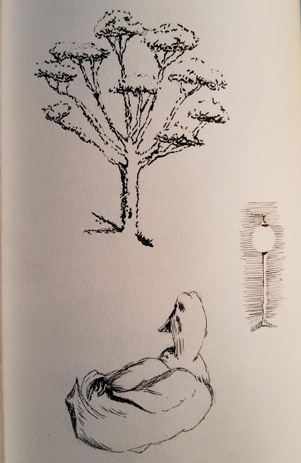 KayBiden Inking Practice - image 4 - student project