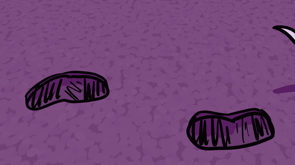 Bonus Animation Examples - image 3 - student project