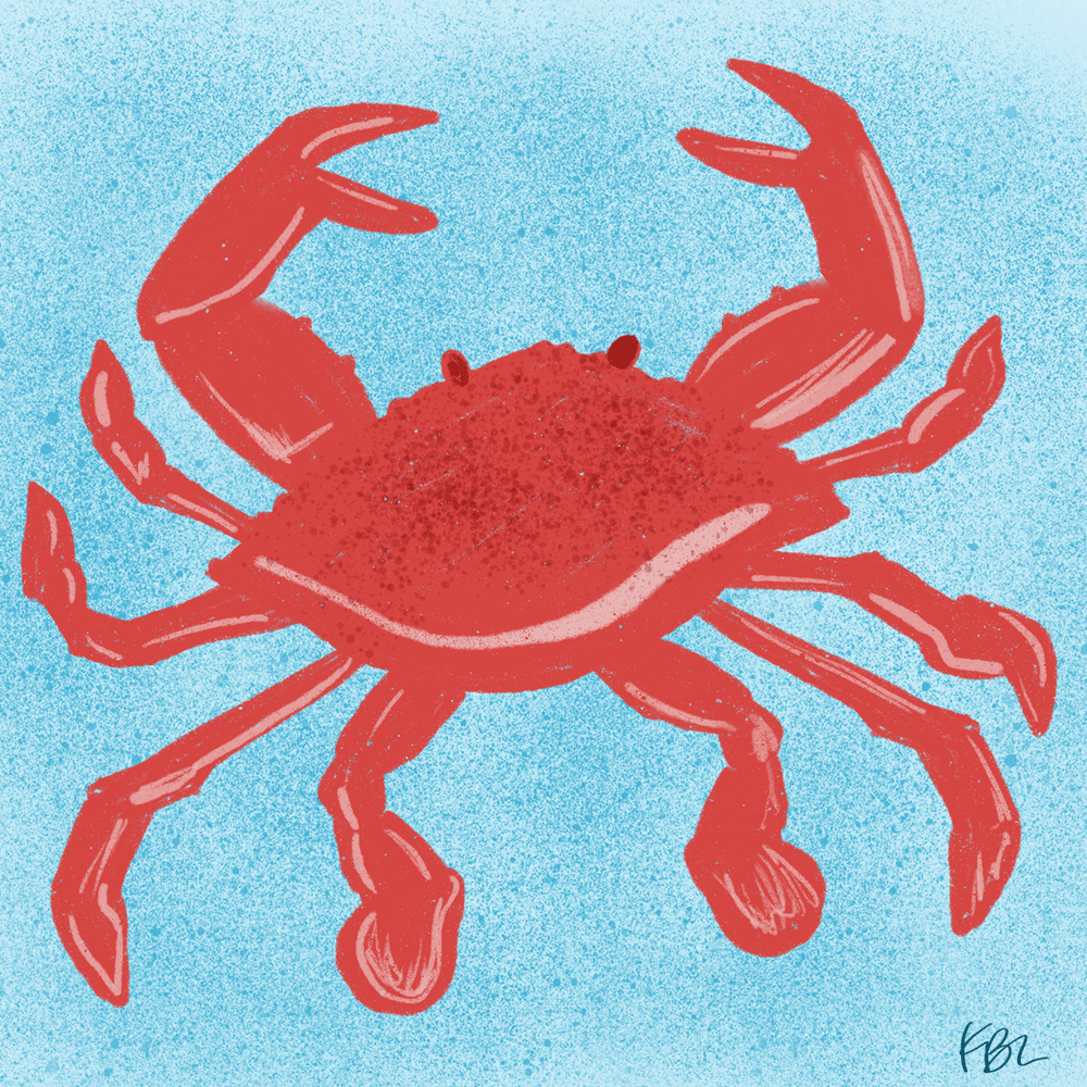 Lazy crab claws - image 1 - student project