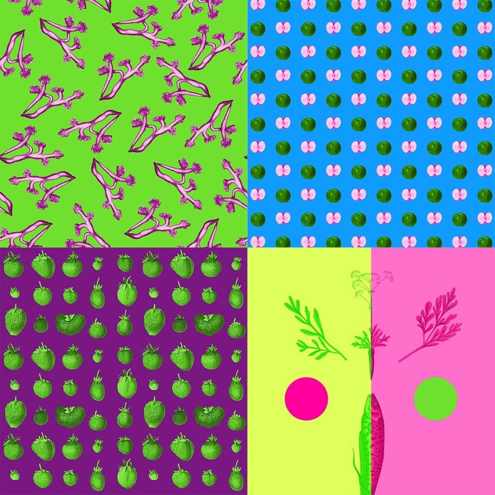 mooniya.collage - image 2 - student project