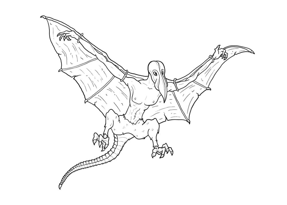 Bird man and hungry car - image 1 - student project
