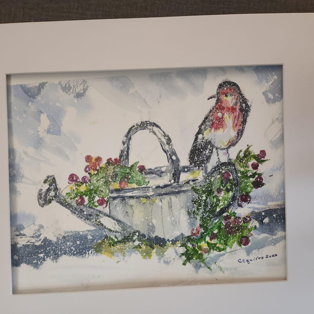 Robin - image 1 - student project