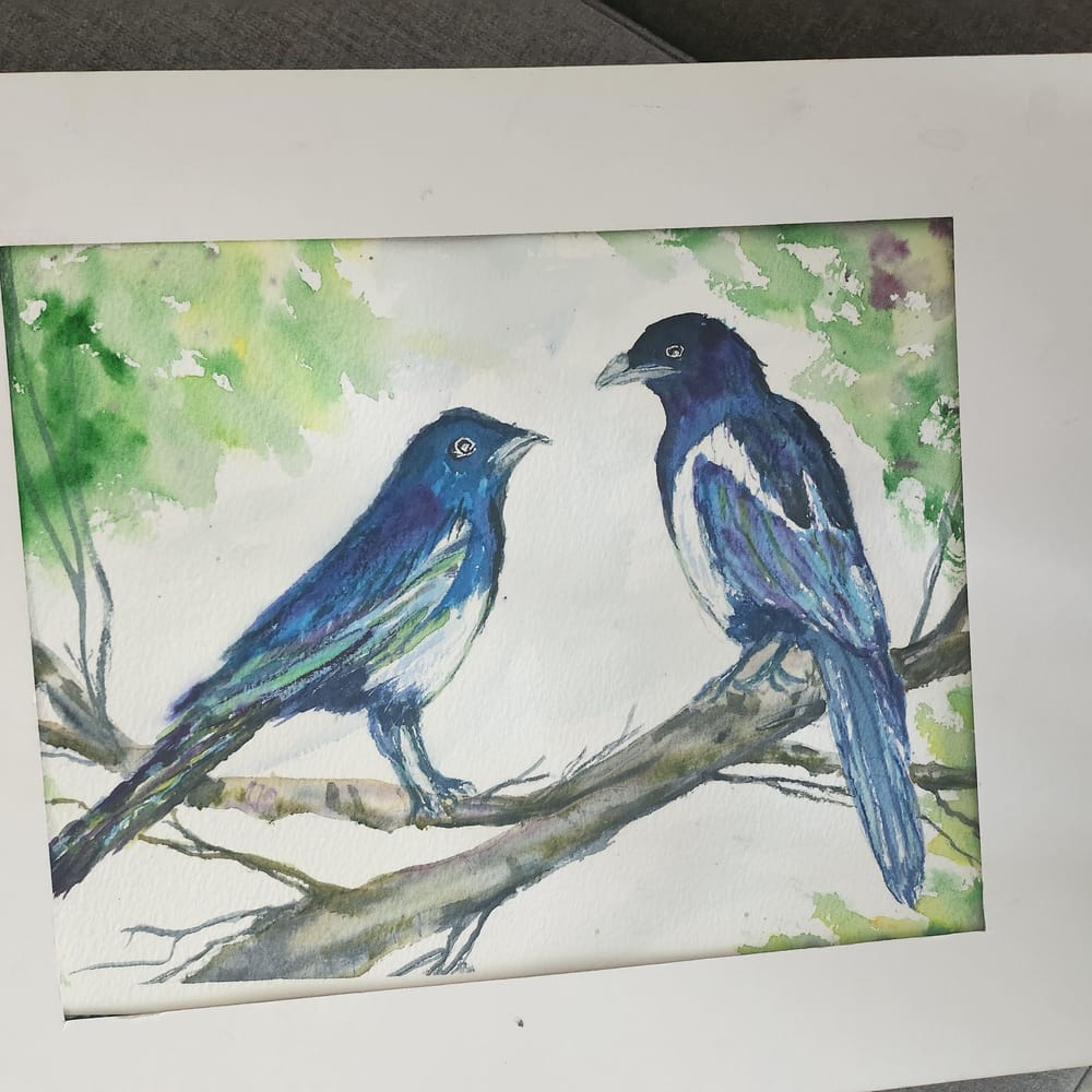 Magpies - image 1 - student project