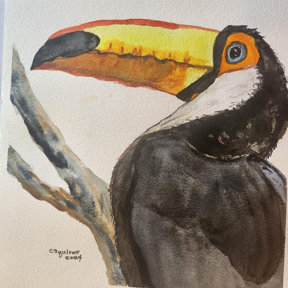 Toucan - image 1 - student project