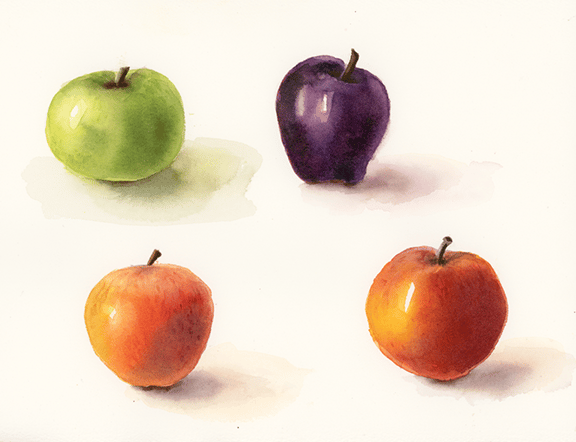 Assorted Apples - image 3 - student project