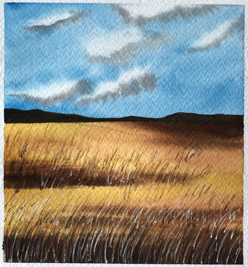 New 30 Day Watercolour Challenge - image 10 - student project