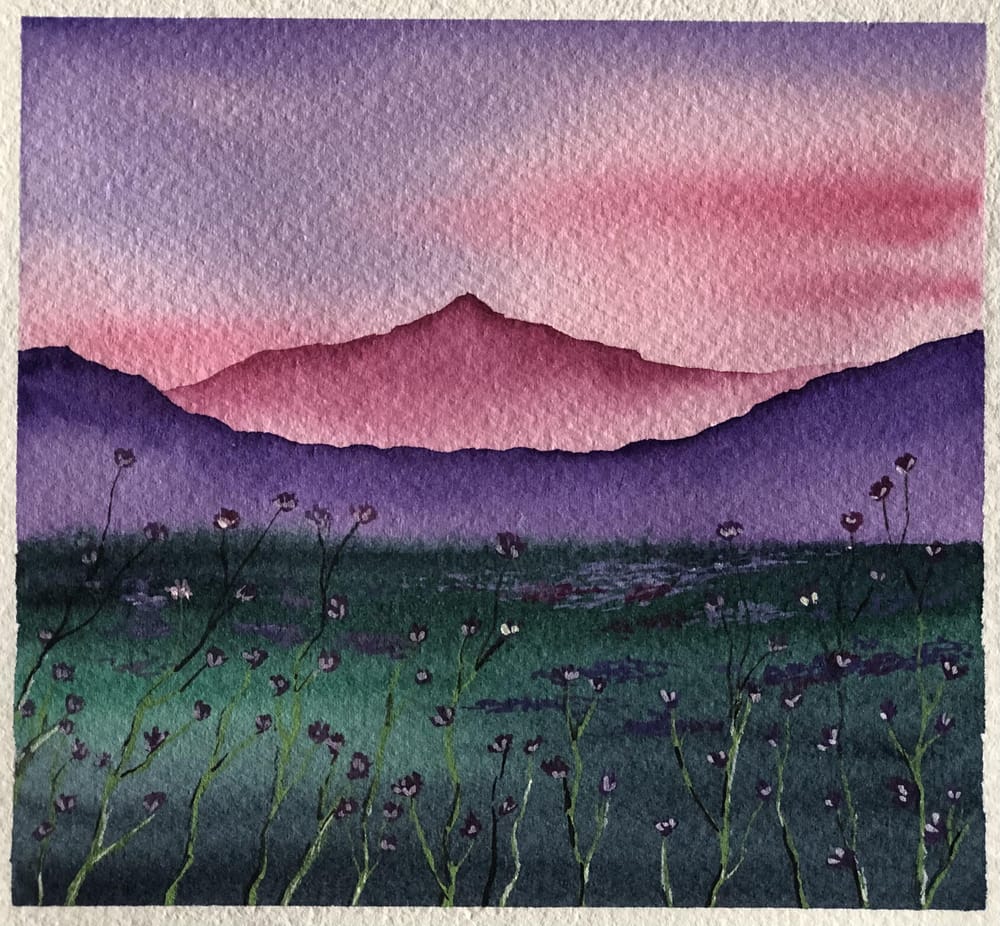New 30 Day Watercolour Challenge - image 1 - student project