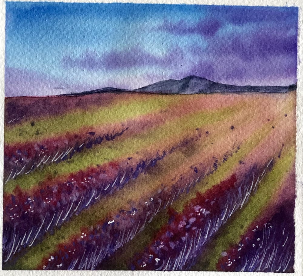 New 30 Day Watercolour Challenge - image 5 - student project