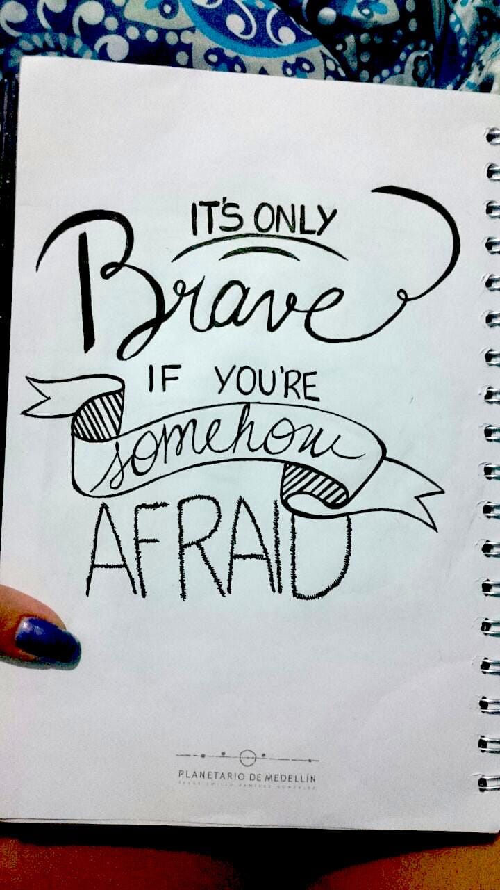 Brave they say - image 2 - student project