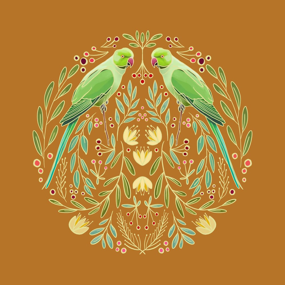 Parrots in the mirror - image 1 - student project