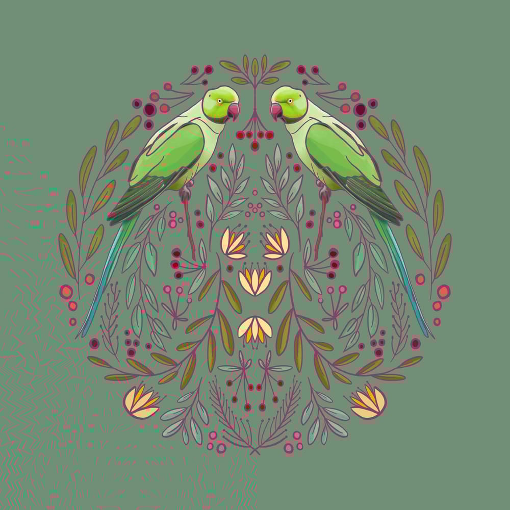Parrots in the mirror - image 2 - student project