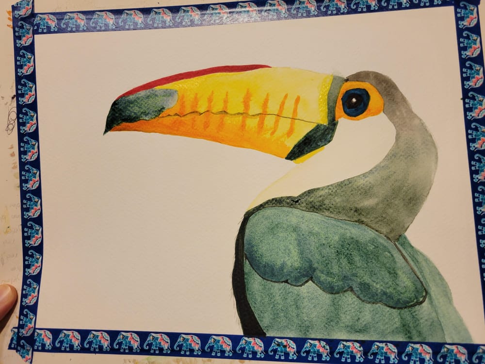 Tara's Toucan - image 1 - student project