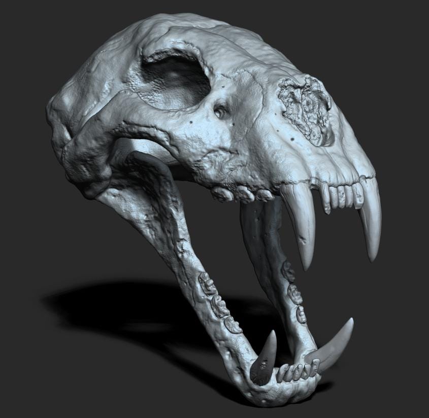 First Time Sculpting in Zbrush - image 3 - student project