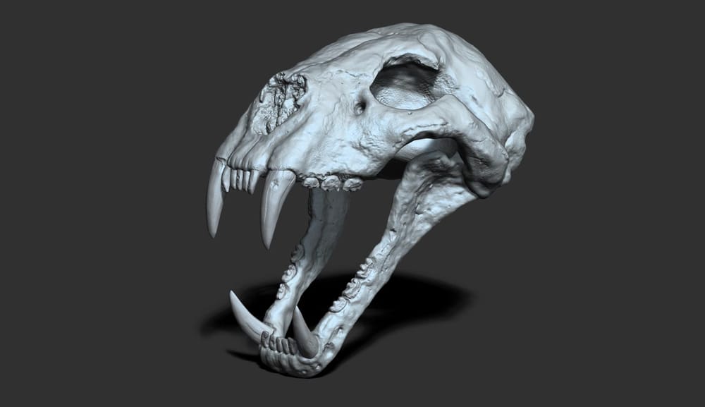 First Time Sculpting in Zbrush - image 4 - student project