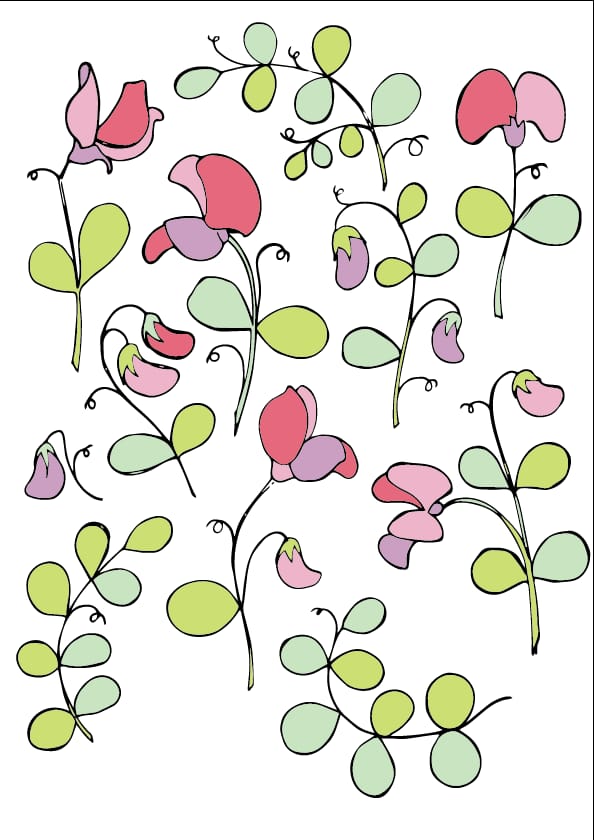 Sweet peas floral pattern - image 5 - student project