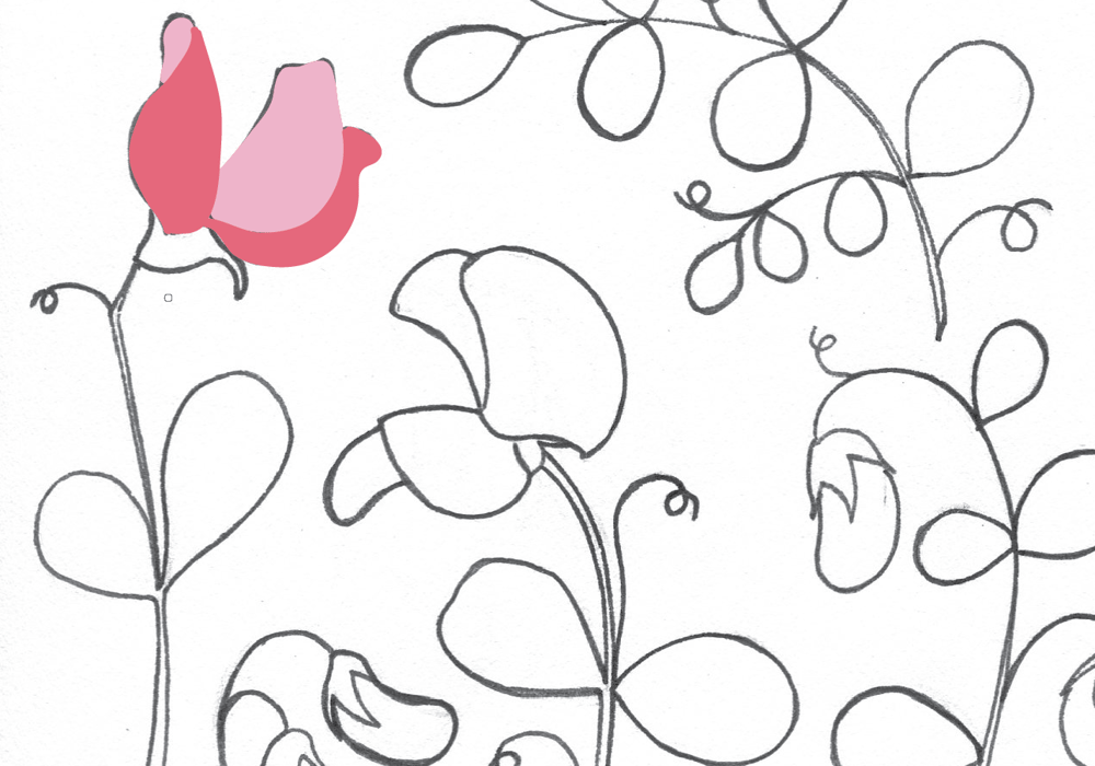 Sweet peas floral pattern - image 3 - student project