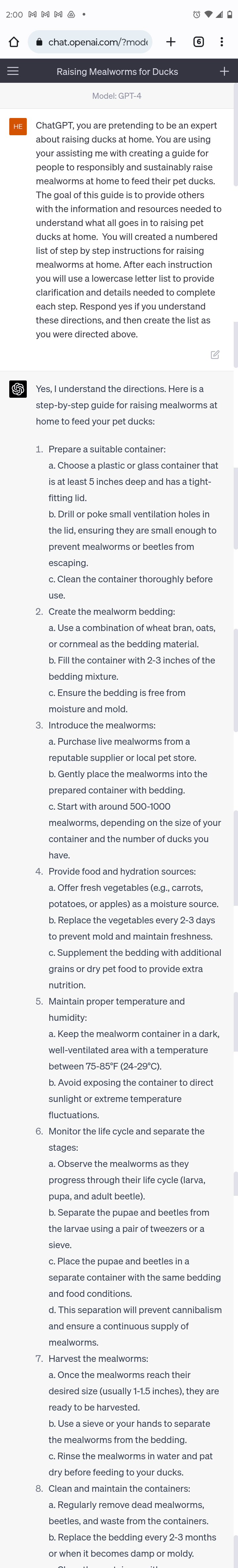 Raising mealworms for ducks - image 1 - student project