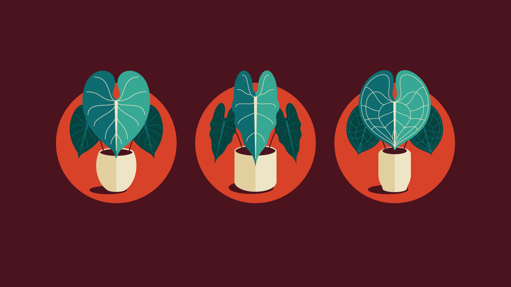 Plant Icon Set - image 6 - student project