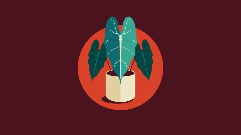 Plant Icon Set - image 4 - student project