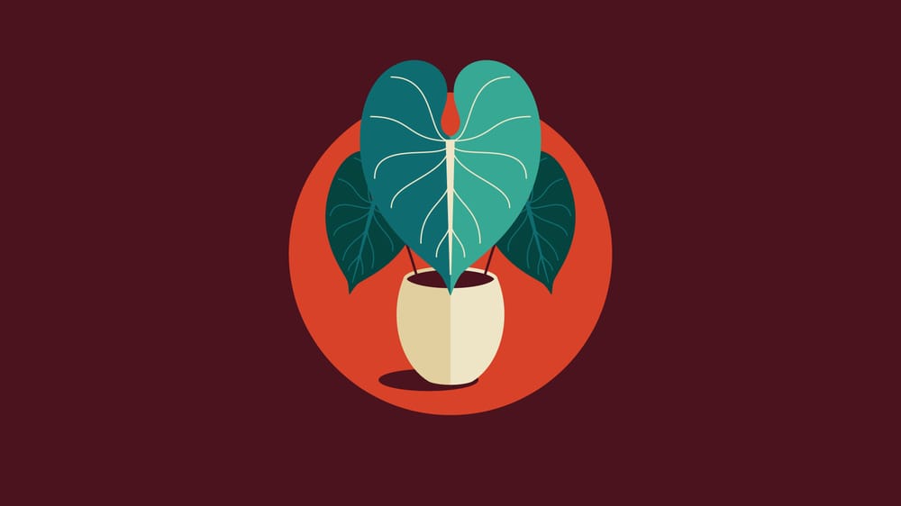 Plant Icon Set - image 3 - student project