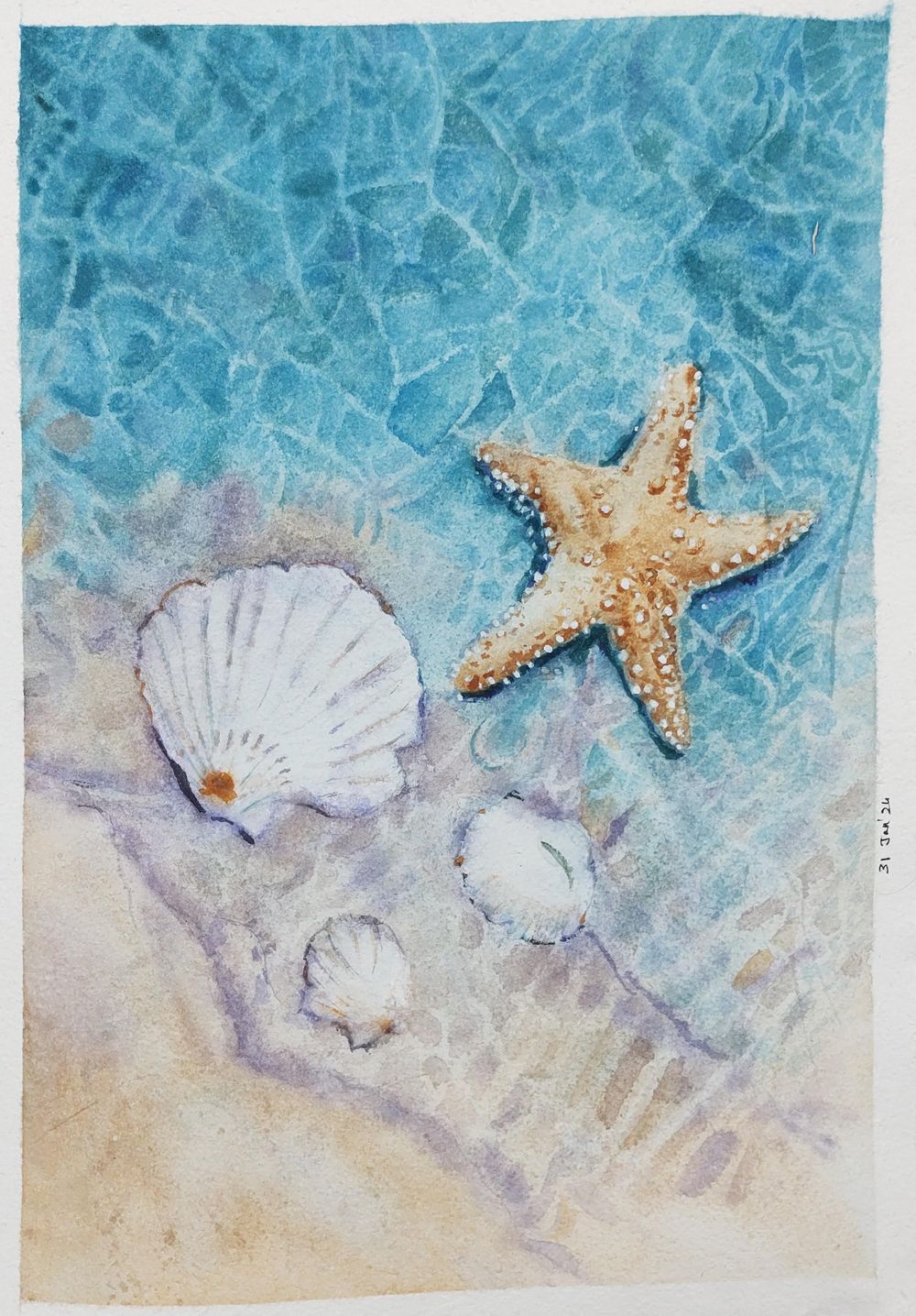 Transparent water with shells and starfish - image 1 - student project