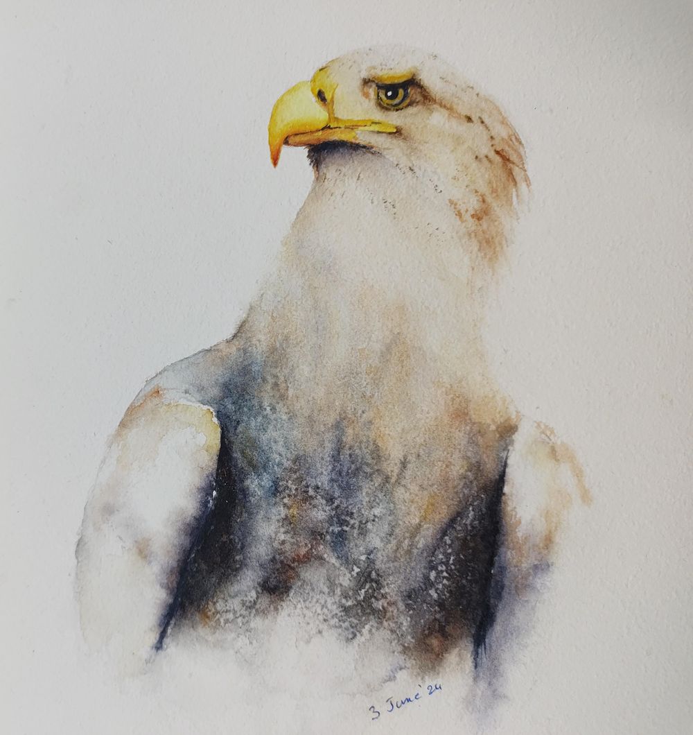 Eagle. A free-flow watercolour masterclass with Jane Davies - image 1 - student project