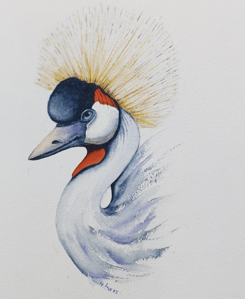 Grey Crowned Crane - a watercolour class by Nadine Dudek - image 1 - student project
