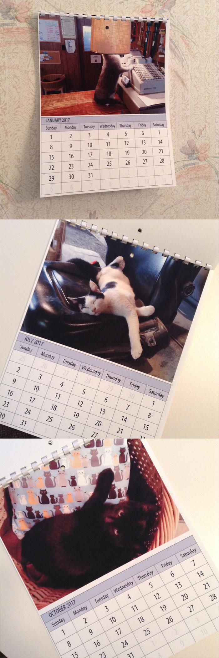 Kitty Calendar in Lightroom - image 1 - student project