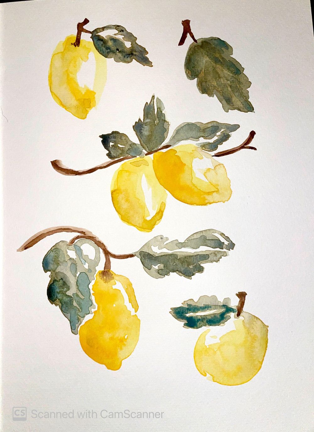 Lemons on Blue - image 2 - student project
