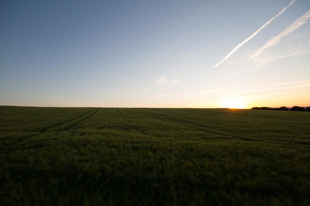 Nature's finest grain - image 3 - student project