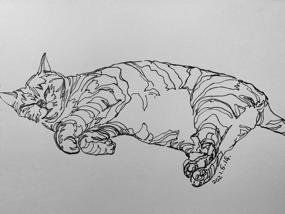 My first contour drawing - image 4 - student project
