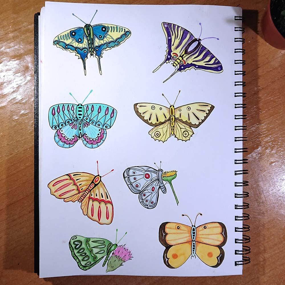 My butterflies - image 1 - student project
