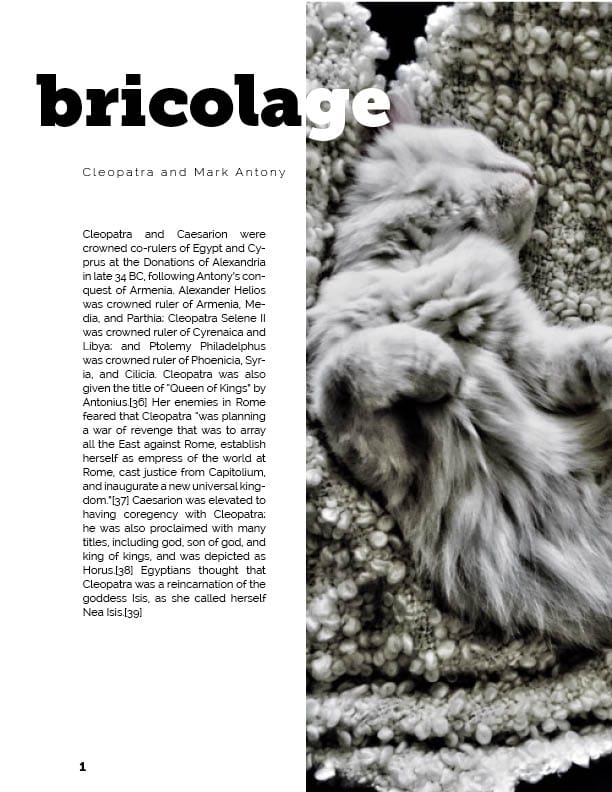 Magazine Spread - image 5 - student project