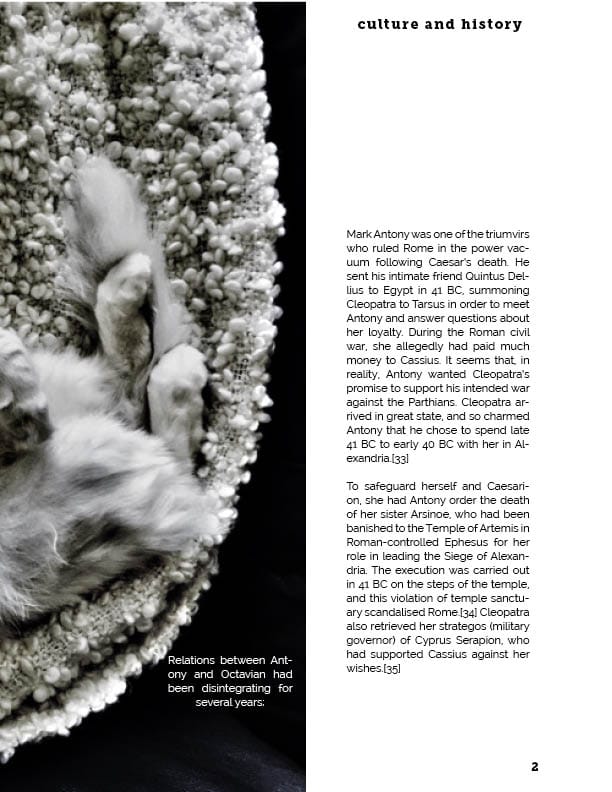 Magazine Spread - image 6 - student project
