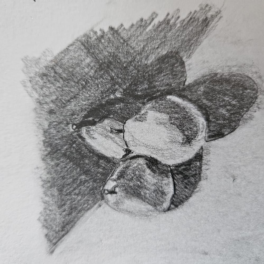 Completed! Thank you Paul! - image 20 - student project