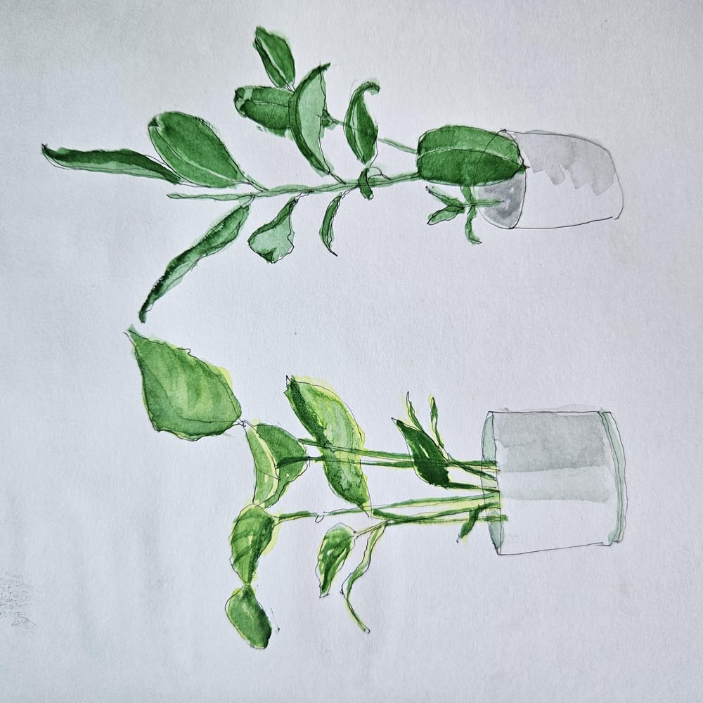 Completed! Thank you Paul! - image 27 - student project