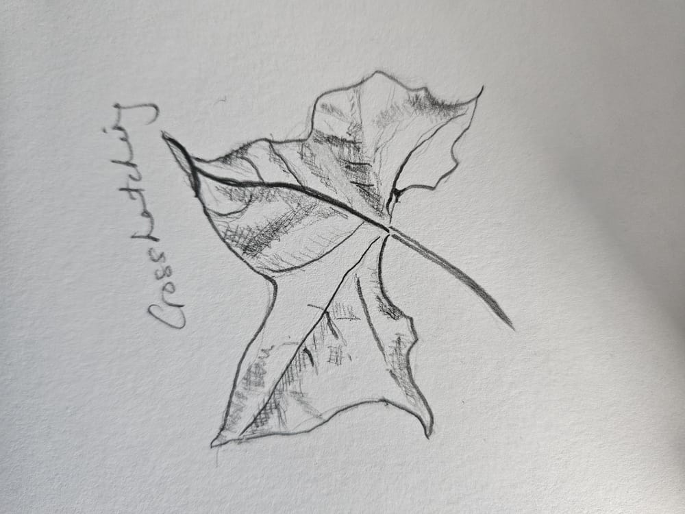 Completed! Thank you Paul! - image 19 - student project
