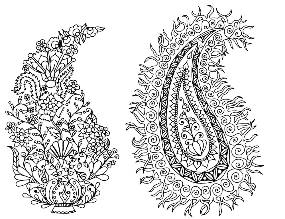 Fun with Paisley - image 2 - student project