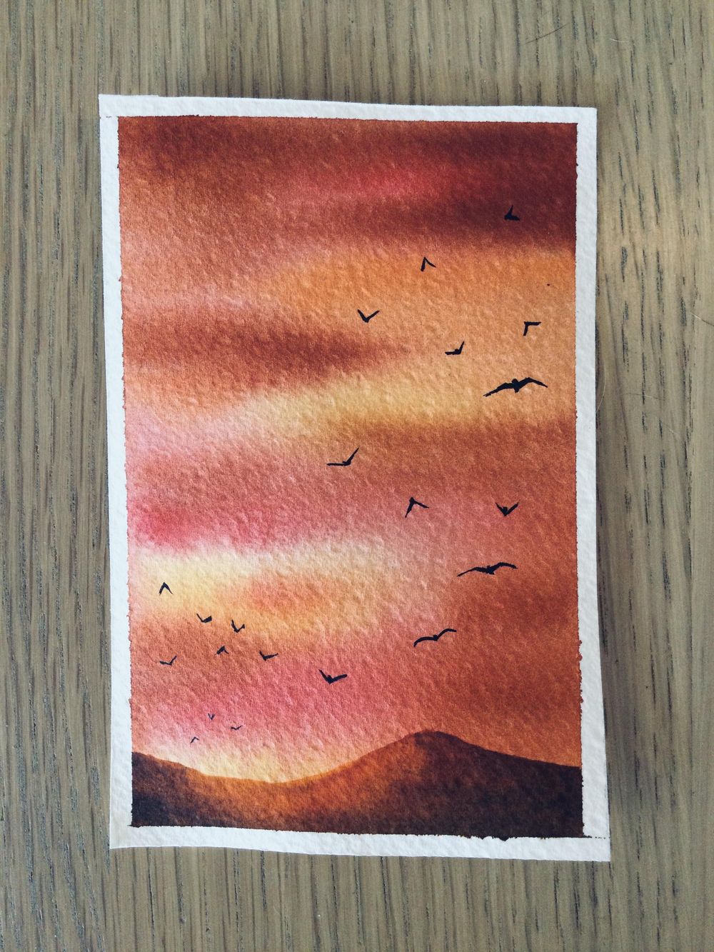 birds in the sky - image 13 - student project