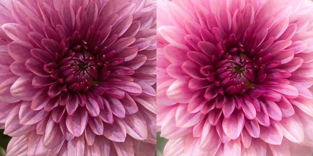 My Before & After Self-Portrait Using Only Lightroom Mobile - image 4 - student project