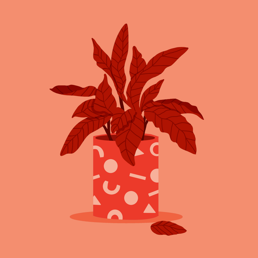 Fun with colours (loads of it!) - image 2 - student project