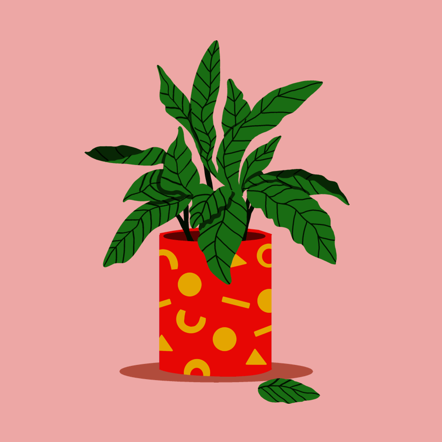 Fun with colours (loads of it!) - image 4 - student project