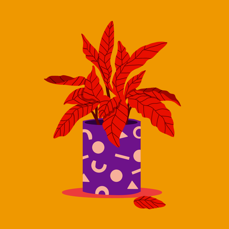 Fun with colours (loads of it!) - image 3 - student project